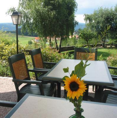 Landgasthof Hirschen Albbruck Exteriör bild