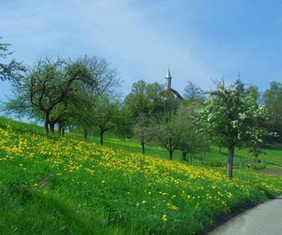 Landgasthof Hirschen Albbruck Exteriör bild